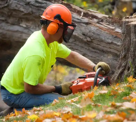 tree services East Missoula